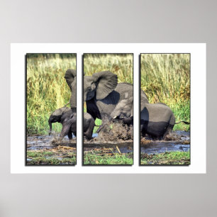 Triptych wildlife poster