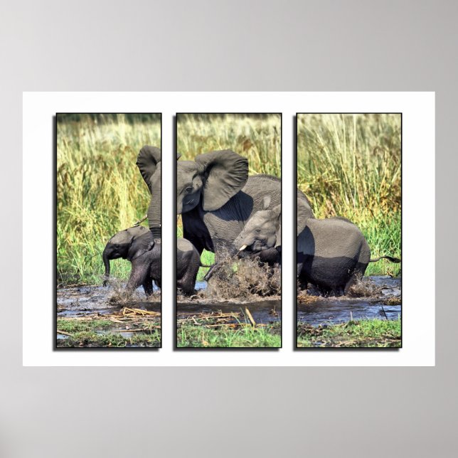 Triptych wildlife poster (Front)