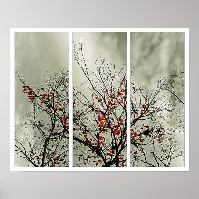 Triptych with natural motive poster (Front)