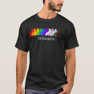 Triskele Progress Pride T-Shirt