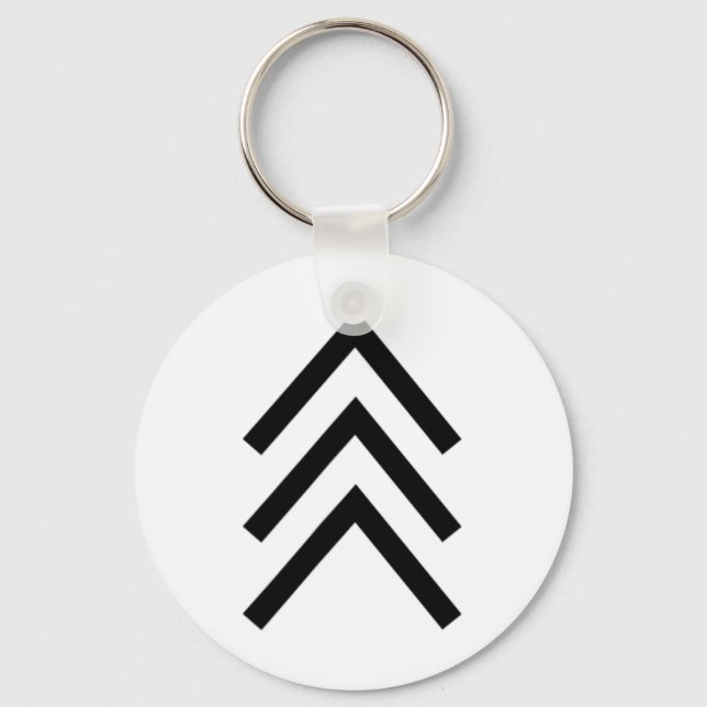Trisomy 21 Down Syndrome Three Chromosome Arrows 1 Key Ring (Front)
