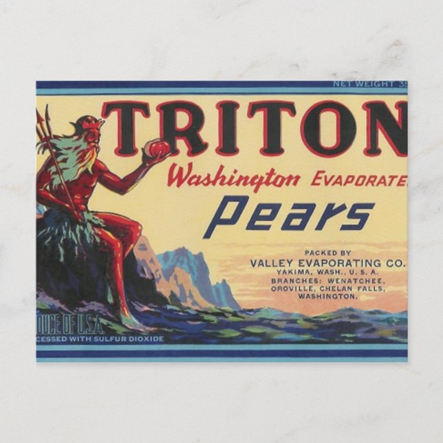 triton pears postcard (Front)