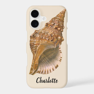 Triton Seashell Shell, Vintage Marine Ocean Animal