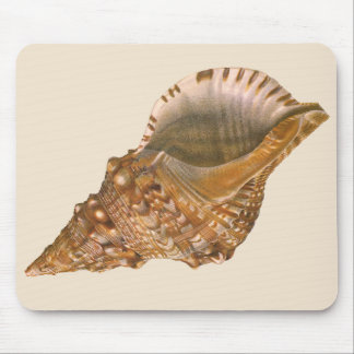 Triton Seashell Shell, Vintage Marine Ocean Animal Mouse Pad