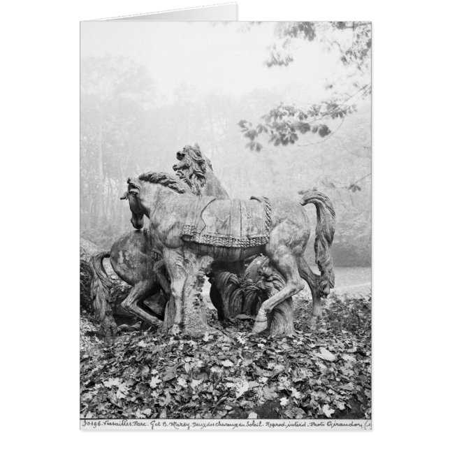 Tritons grooming two horses of the sun (Front)