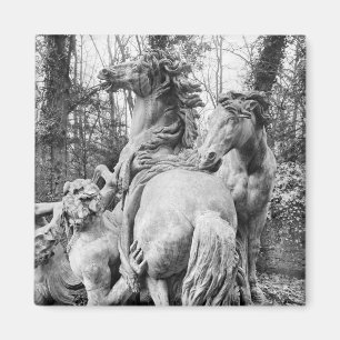 Tritons grooming two horses of the sun magnet