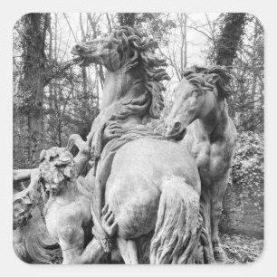 Tritons grooming two horses of the sun square sticker