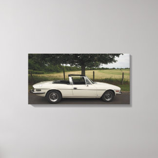 Triumph Stag Canvas Print
