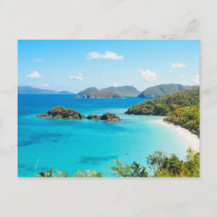 Trocical Paradise Postcard