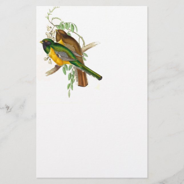 Trogon Bird BT Stationery (Front)