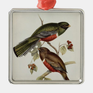 Trogon Collaris Metal Tree Decoration