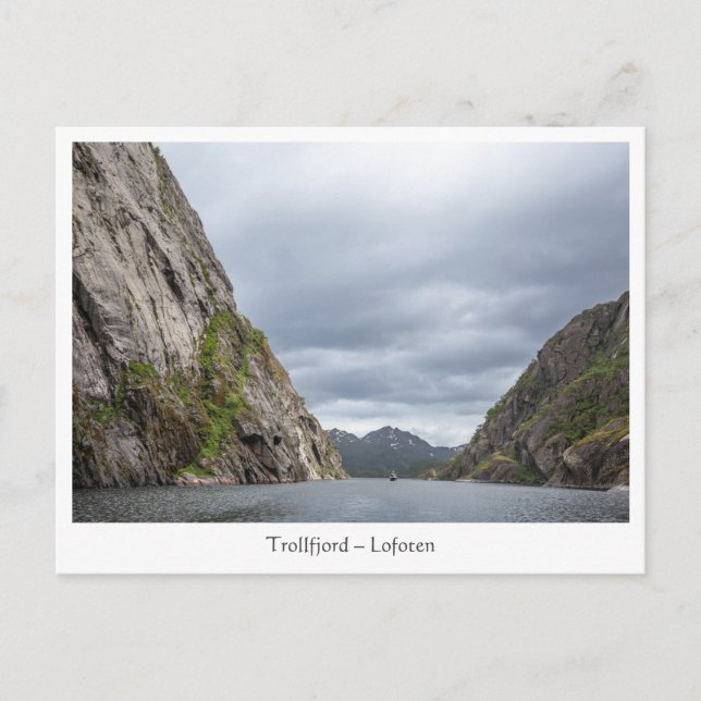 Trollfjord Lofoten Postcard (Front)