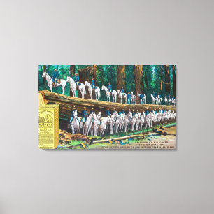 Troop I on and in front of Fallen Giant Canvas Print