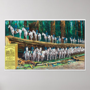 Troop I on and in front of Fallen Giant Poster