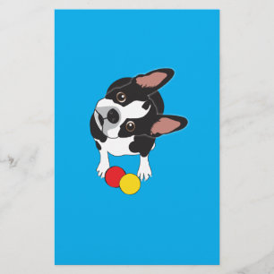Trooper the Boston Terrier