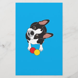 Trooper the Boston Terrier