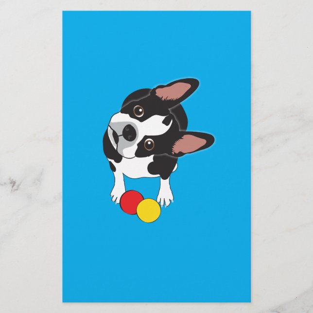 Trooper the Boston Terrier (Front)