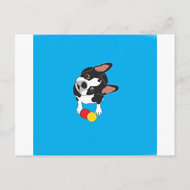 Trooper the Boston Terrier Postcard (Front)