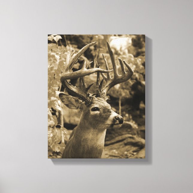 Trophy Deer Canvas Print (Front)