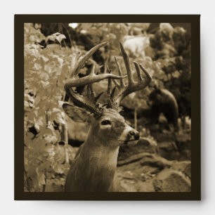 Trophy Deer Envelopes