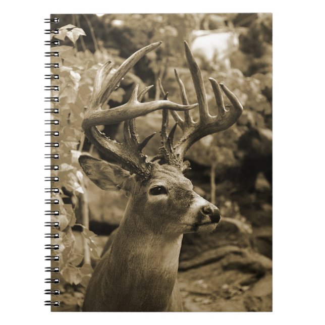 Trophy Deer Notebook (Front)
