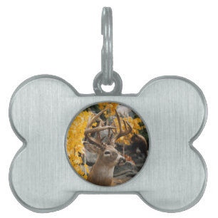 Trophy Deer Pet Tag