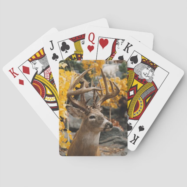 Trophy Deer Playing Cards (Back)