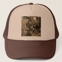 Trophy Deer