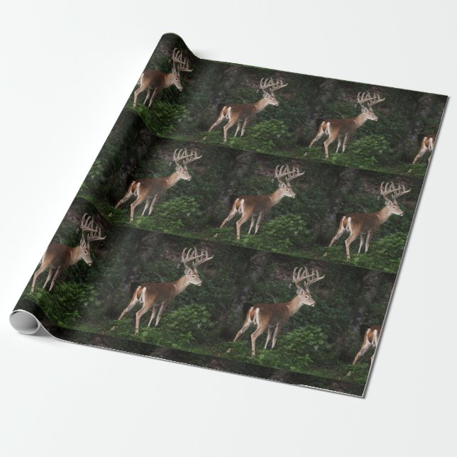 Trophy White Tail Buck In Velvet Wrapping Paper (Unrolled)