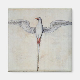 Tropic Bird Magnet