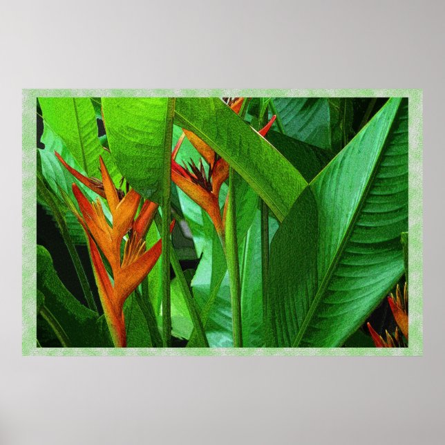 Tropic Birds 36 x 24 Poster (Front)