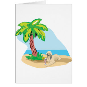 Tropical Afghan Hound