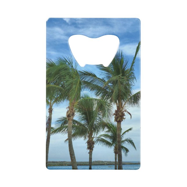 Tropical Afternoon (Front)