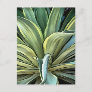 Tropical Agave Realism Art Postcard