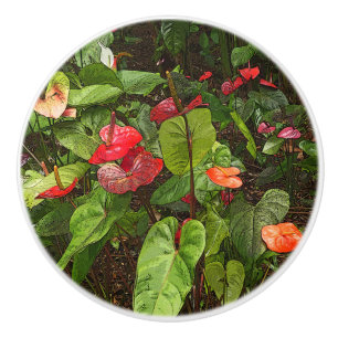 "TROPICAL ANTHURIUM PLANTS" CERAMIC DOOR/PULL CERA KNOB