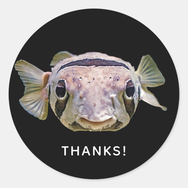 Tropical Aquarium Fish Porcupine Puffer Thank You Classic Round Sticker (Front)