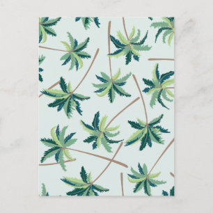 Tropical Australian Foxtail Palm Postcard
