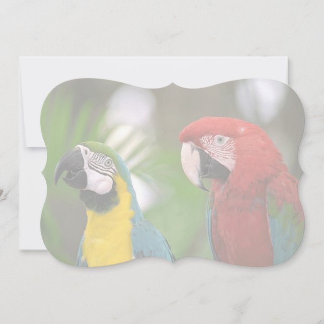 tropical background (Front)