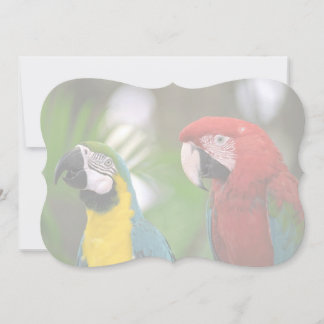 tropical background