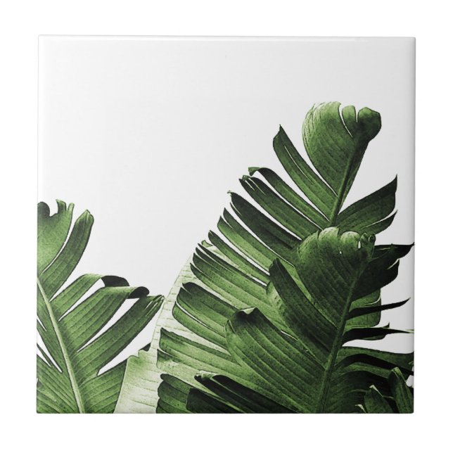 Tropical Banana Leaf Tile (Front)