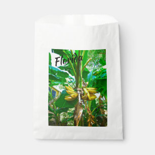 Tropical Banana Palm Tree St Augustine Florida Favour Bags