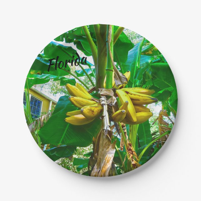Tropical Banana Palm Tree St Augustine Florida Paper Plate (Front)