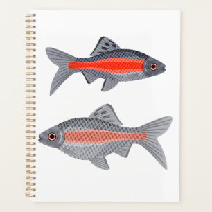 Tropical Barb Fish Red and Grey Exotic Aquatic Planner
