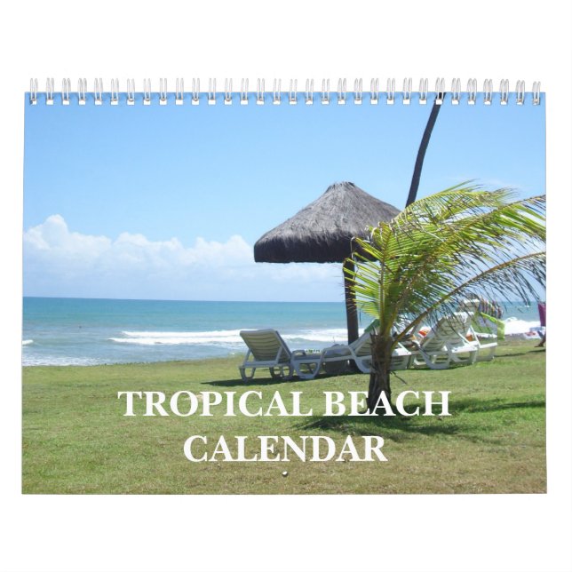 Tropical Beach  2026 Calendar (Cover)