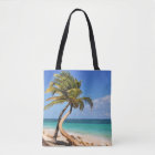 Tropical Beach And Palm Tree