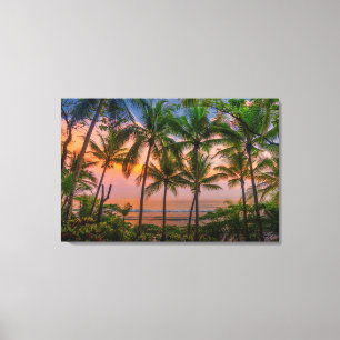 Tropical Beach   Corcovado National Park Canvas Print