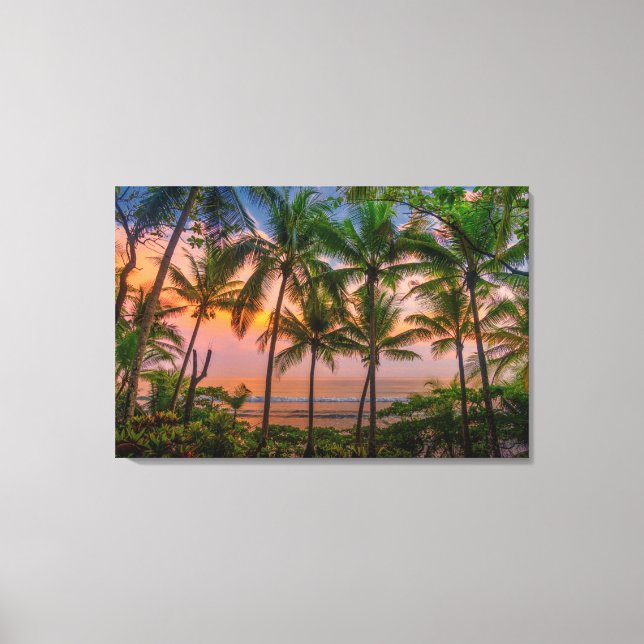 Tropical Beach | Corcovado National Park Canvas Print (Front)