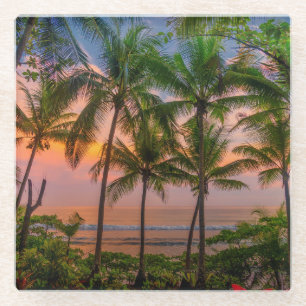 Tropical Beach Corcovado National Park Glass Coaster