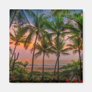 Tropical Beach Corcovado National Park Magnet