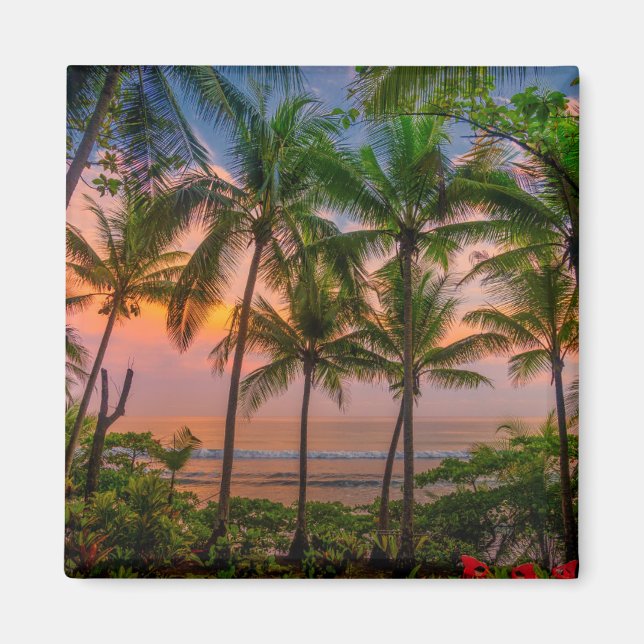 Tropical Beach | Corcovado National Park Magnet (Front)